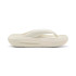 Chanclas Puma Flatter Flip,Alpine Sno Mujer