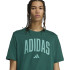 Camiseta adidas Collegiate Homem Verde