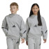 Moletom adidas Z.N.E. Hoodie Infantil Cinza