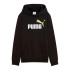Moletom Puma Essentials 2 Cor 1 Baixo Infantil Preto