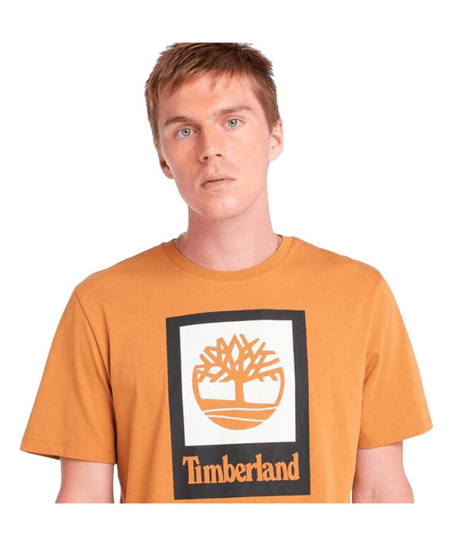 Camiseta Timberland Stack Logo Colored Short...