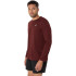 Camiseta de Running ASICS Core Ls Top Homem Vermelho