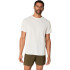 Camiseta de Running ASICS Core Ss Top Hombre Beige