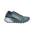 Sapatilhas de Trail adidas Terrex Agravic Gtx Homem Azul