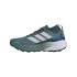 Sapatilhas de Trail adidas Terrex Agravic Gtx Homem Azul