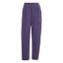 Pantalón de Montaña adidas Cargo Mujer Negro