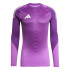 Camiseta de Futebol adidas T25 P Gk Jsy Lm Homem Roxo