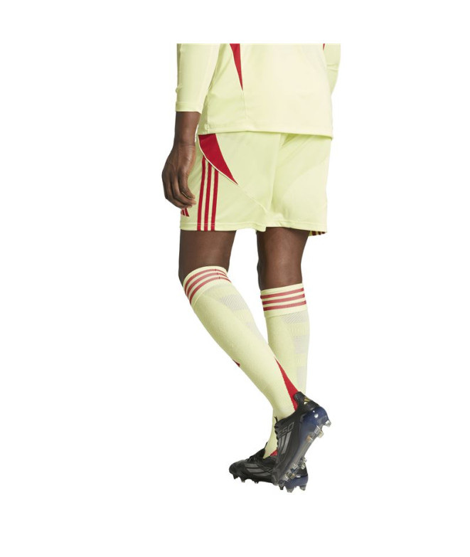 Calça de Futebol adidas Tiro24 Sho Homem Amarelo