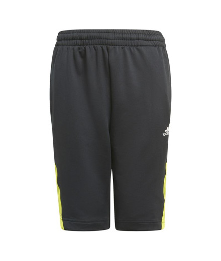 Pantalones de Trainning adidas Predator Inspired