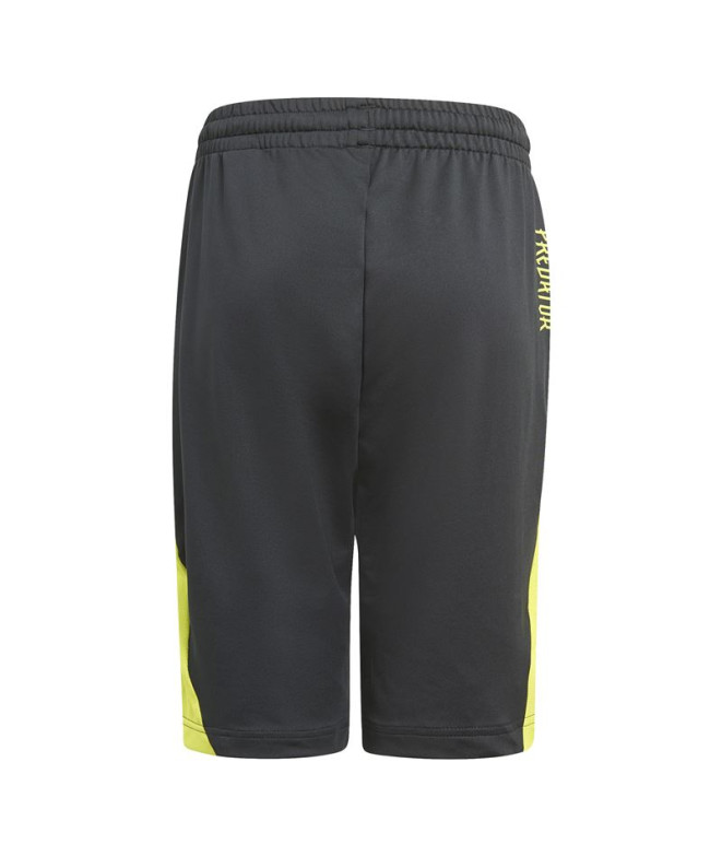 Calças de treino adidas Predator Inspired