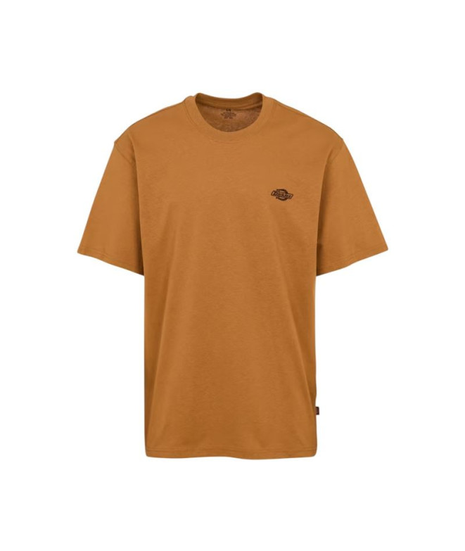 T-shirt Dickies Summerdale Ss Marrón Homme
