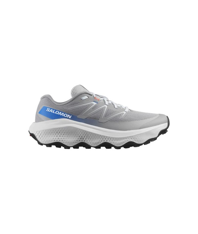 Chaussures de Trail Salomon Ultra Flow 2 Homme Gris