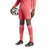 Calça de Futebol adidas Tiro24 Homem Vermelho