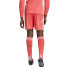 Calça de Futebol adidas Tiro24 Homem Vermelho