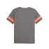 Camiseta de Futebol Puma Individualrise, Cool Dark Gray, Homem