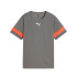 Camiseta de Futebol Puma Individualrise, Cool Dark Gr, Infantil