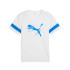 T-shirt de Football Puma Attacanto Logo, Blanc-Ul Homme