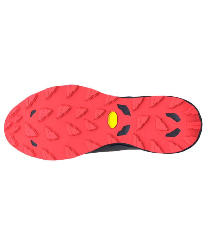 Sapatilhas de Trail Mizuno Wave Daichi 9