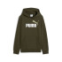 Sudadera Puma Essentials 2 Color No. 1 Lo Infantil Verde