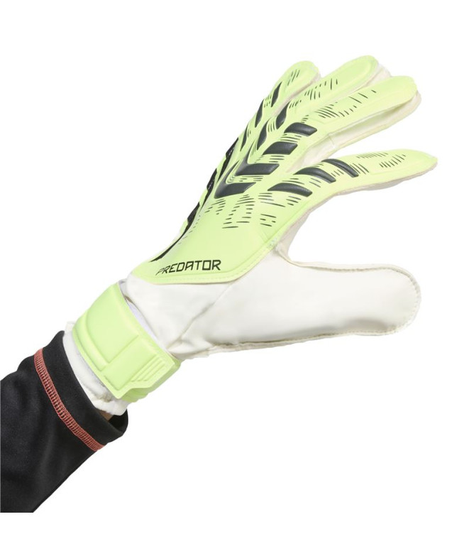 Luvas Goleiro de Futebol adidas Predator Gl Trn...