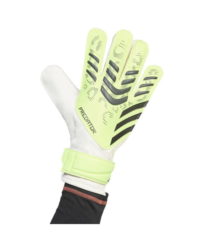Luvas Goleiro de Futebol adidas Predator Gl Trn...
