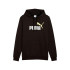 Moletom Puma Essentials 2 Cor 1 Lo Preto-Dourado Homem