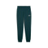 Calça Puma Essentials 2 Cor 1 Lo Verde Terrain Homem