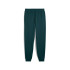Calça Puma Essentials 2 Cor 1 Lo Verde Terrain Homem