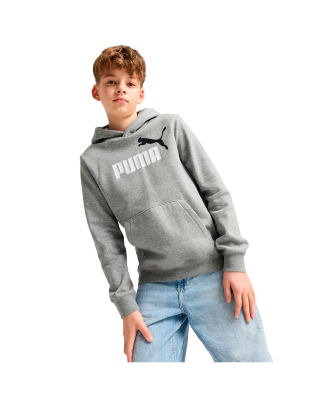 Sudadera Puma Essentials 2 Color No. 1 Lo...