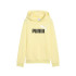 Moletom Puma Essentials 2 Color No. 1 Lo Oro Moon Infantil