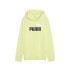 Sweat Puma Essentials 2 Couleur No.1 Log Or Lune Enfant
