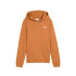 Moletom Puma Essentials 2 Cor Pequena Sem Caramelo Derretido Infantil
