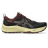 Sapatilhas de Trail ASICS Trabuco Terra 3 Mulher Preto