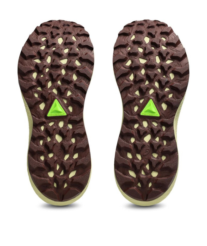 Sapatilhas de Trail ASICS Trabuco Terra 3...