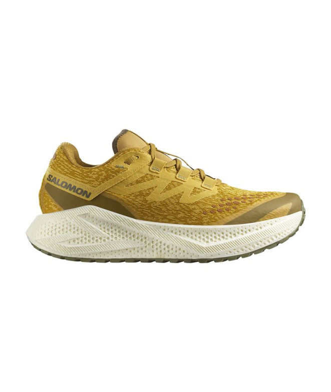 Sapatilhas de Running Salomon Aero Glide 3 Grvl Homem Mostarda