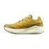 Zapatillas de Running Salomon Aero Glide 3 Grvl Hombre Mostaza