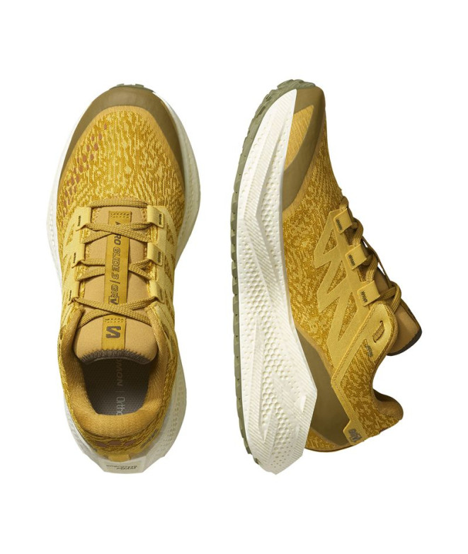 Sapatilhas de Running Salomon Aero Glide 3 Grvl...