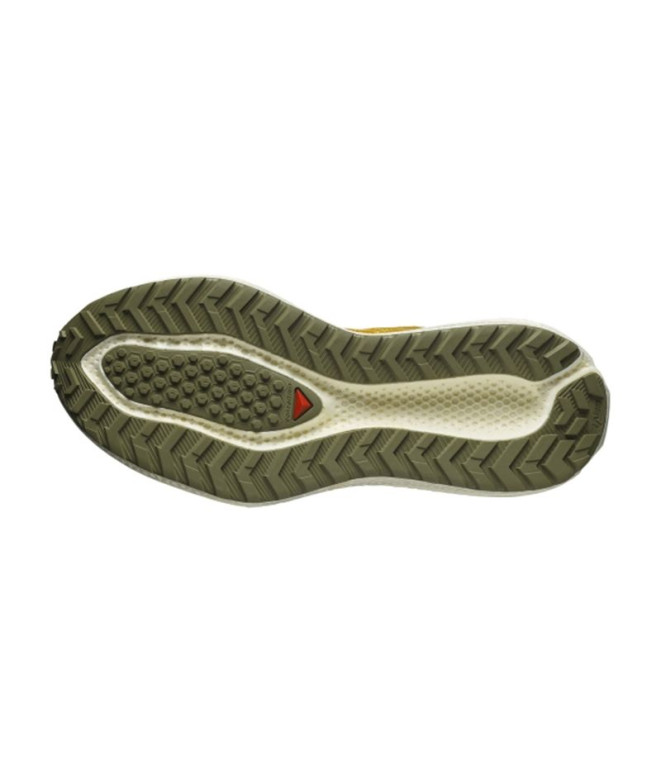 Zapatillas de Running Salomon Aero Glide 3 Grvl...