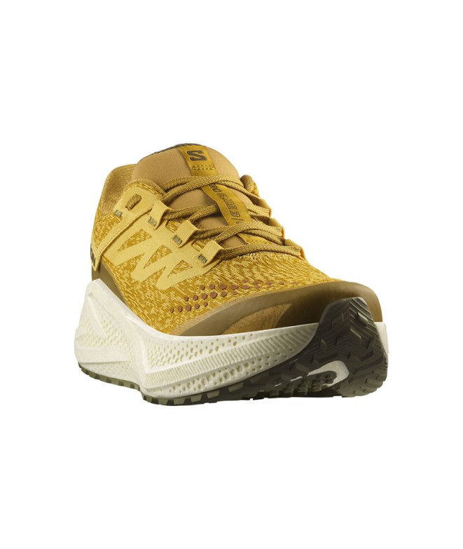 Zapatillas de Running Salomon Aero Glide 3 Grvl...