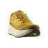 Zapatillas de Running Salomon Aero Glide 3 Grvl Hombre Mostaza