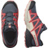Chaussures de Montagne Salomon Speedcross Cswp Enfant Gris