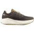 Zapatillas de Running Salomon Aero Glide 3 Grvl Hombre Marrón