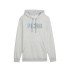 Sweat Puma Essentials Logo Lab die Light Gris Hea Homme