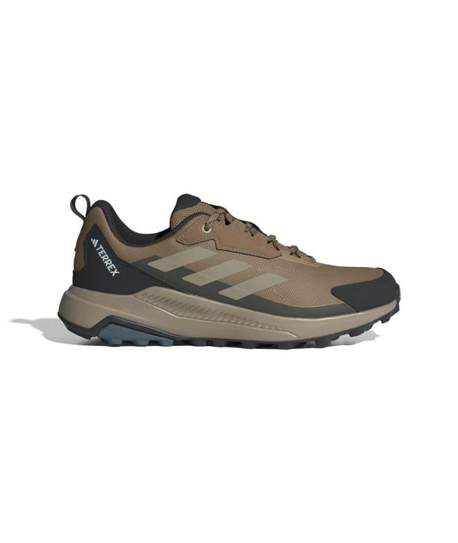 Sapatilhas de Montanha adidas Terrex Anylander Homem Carton / Carpal / Olisom