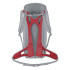 Mochila de Montanha Salewa Alp Mate 24 Ws Mulher Cinza