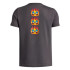 Camiseta Under Armour Flame Wm Ss Menino Cinza