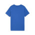 Camiseta Puma Essentials Logo Lab B Infantil Mountain Azul