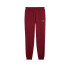 Calça Puma Essentials 2 Cor 1 Lo Ruby Shimmer Homem