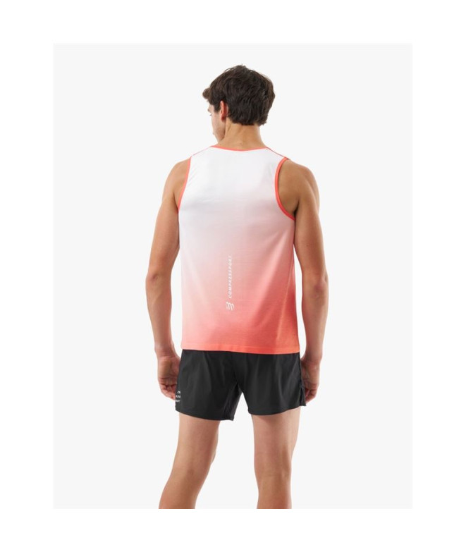 Camiseta de Running Compressport Performance...