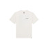 Camiseta Dickies Burns Ss Homem Egret